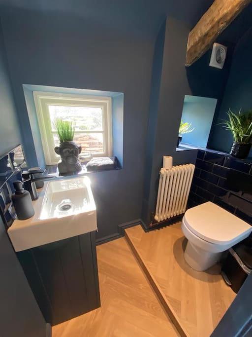 Rosedale A Charming Detached 4 Bedroom Cottage. Brixham Zewnętrze zdjęcie
